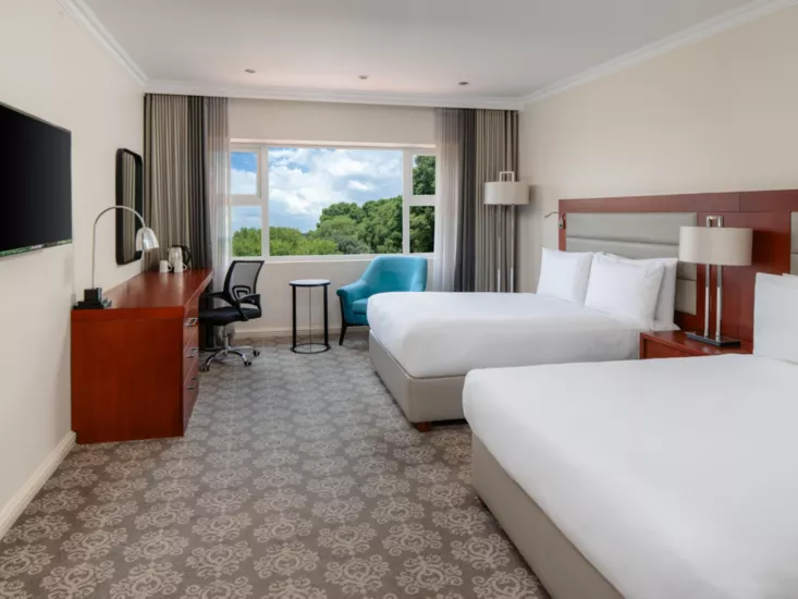 Green cardstock box containing white, beige, and brown cards.