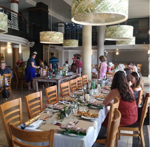 Green cardstock box open with 50 cards inside.